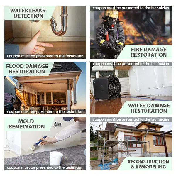 Hialeah Restoration Company Hialeah, FL 786-373-1030 Hialeah Restoration Company Hialeah, FL 786-373-1030 - coupon