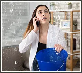 Hialeah Restoration Company Hialeah, FL 786-373-1030