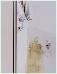 Hialeah Restoration Company Hialeah, FL 786-373-1030 Hialeah Restoration Company Hialeah, FL 786-373-1030 - sb-services-03