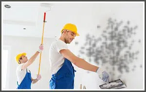 Hialeah Restoration Company Hialeah, FL 786-373-1030 - services