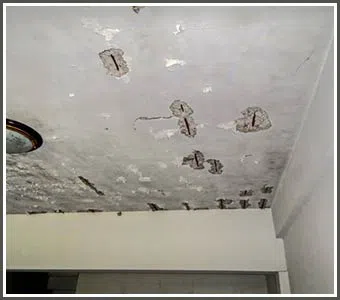 Hialeah Restoration Company Hialeah, FL 786-373-1030 Hialeah Restoration Company Hialeah, FL 786-373-1030 - water-leaks-detection